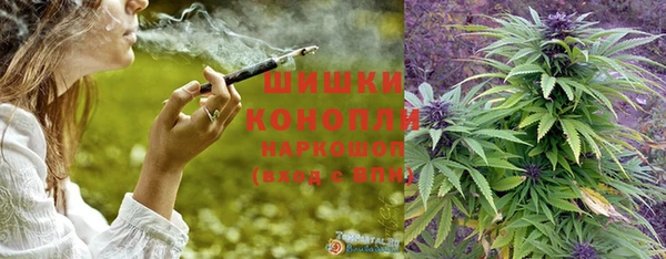 стафф Дубовка