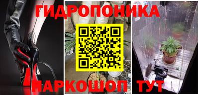 прущие крисы Бийск