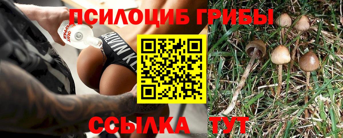 Псилоцибиновые грибы Psilocybine cubensis  Вход с VPN  Асбест  Псилоцибиновые грибы Magic Shrooms 